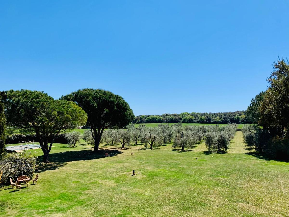 B&B Valle D'Oro Ansedonia Exterior photo