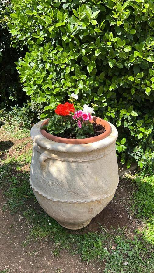 B&B Valle D'Oro Ansedonia Exterior photo